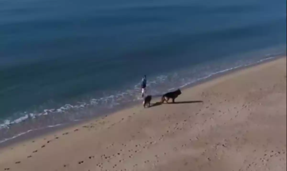 Imatge aèria del dron del Vendrell on es veu la dona passejant els gossos