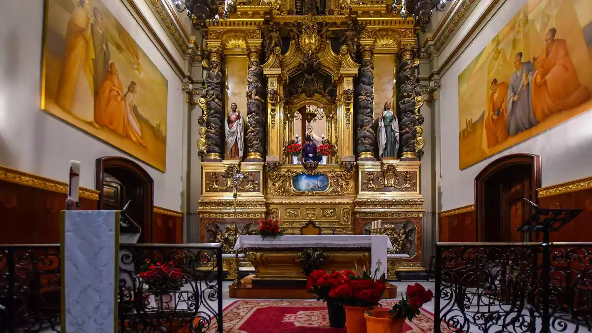 Misericòrdia s'omple de roses en un Sant Jordi confinat