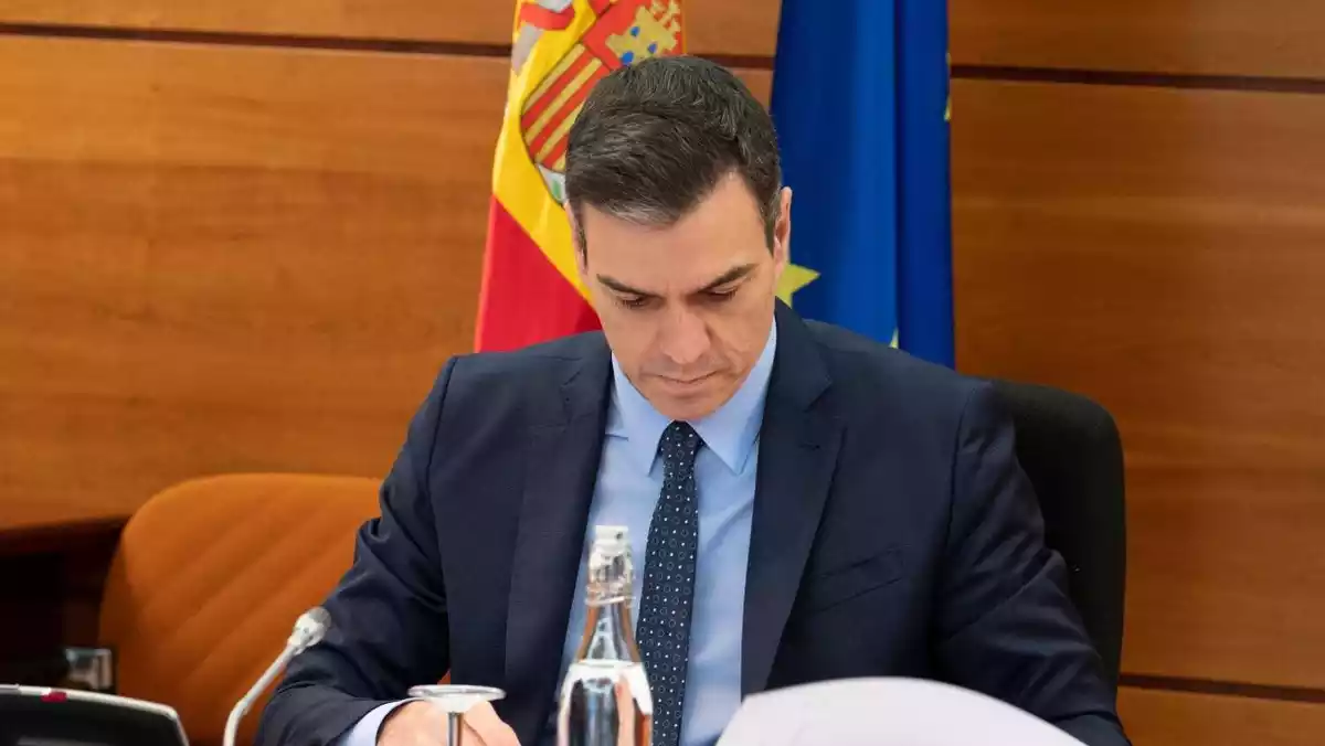 Pedro Sánchez durant el consell de ministres del 31 de març de 2020