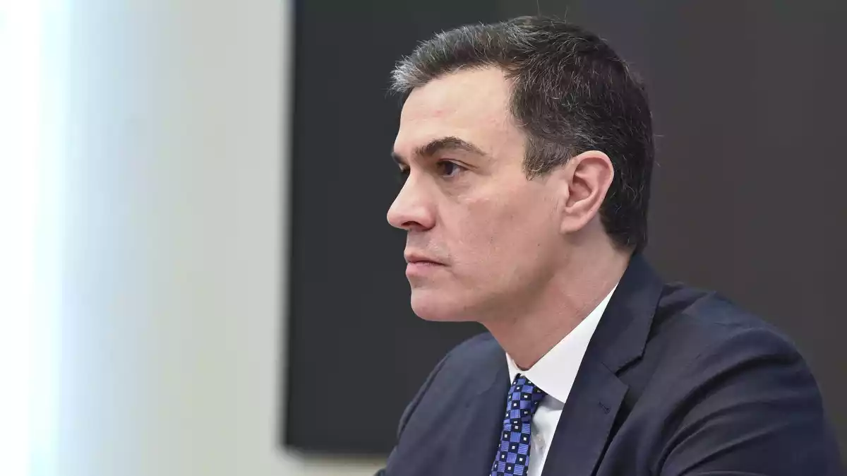 Pedro Sánchez en una reunión por videoconferencia con los presidentes autonómicos el 5 de abril de 2020