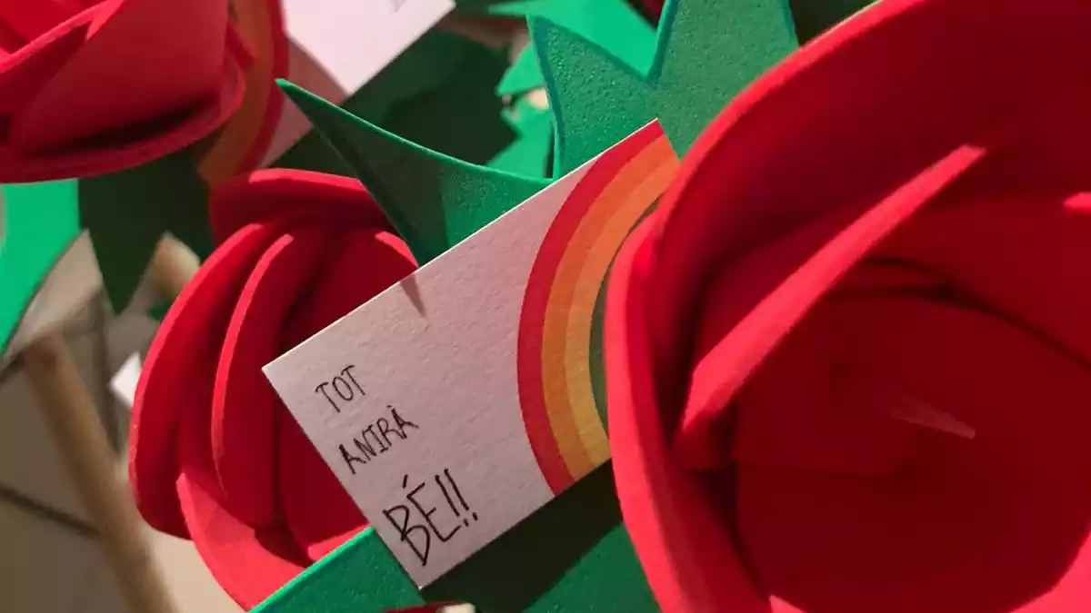 Imatge d'algunes de les roses solidàries de les Garrigues