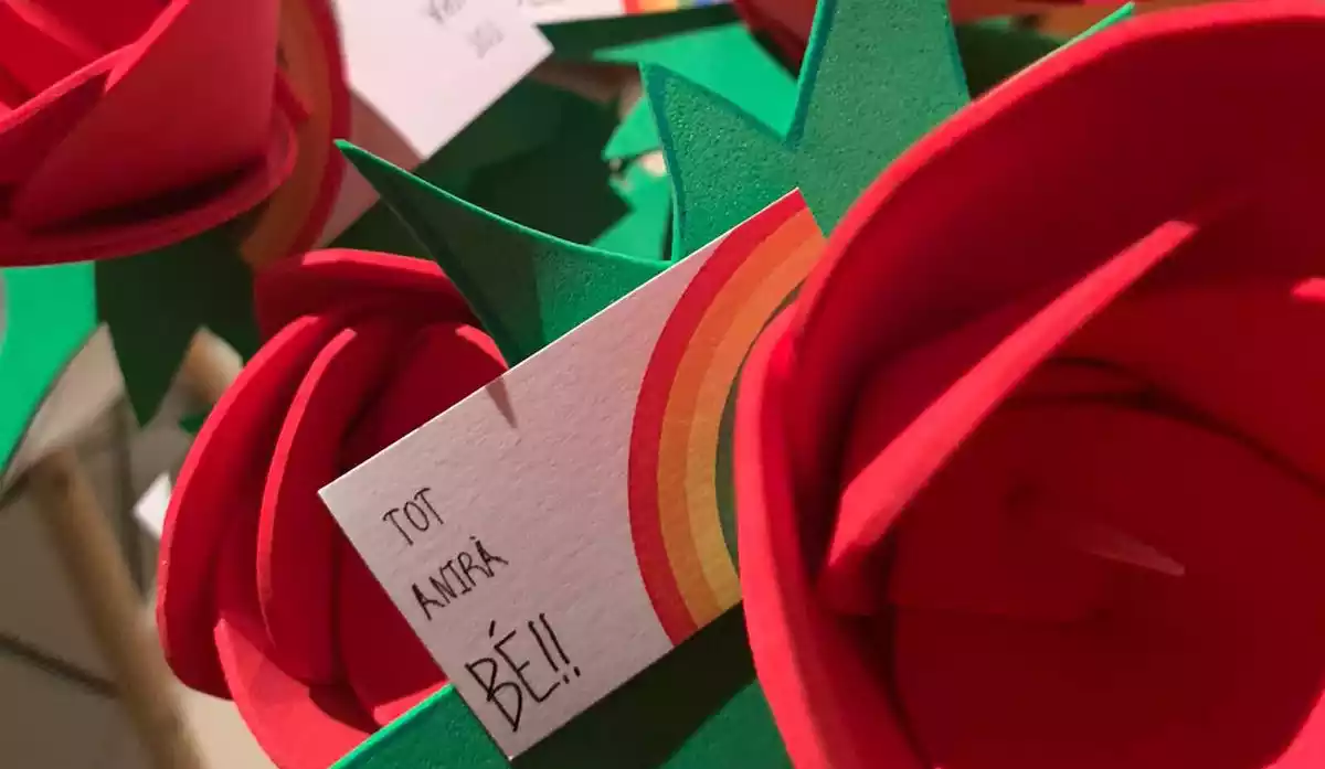 Imatge d'algunes de les roses solidàries de les Garrigues