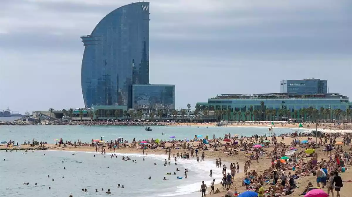 Barcelona tindrà un clima com el de Múrcia en 30 anys