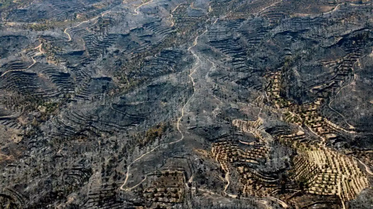 El pas del foc per la Ribera d'Ebre, el darrer estiu.