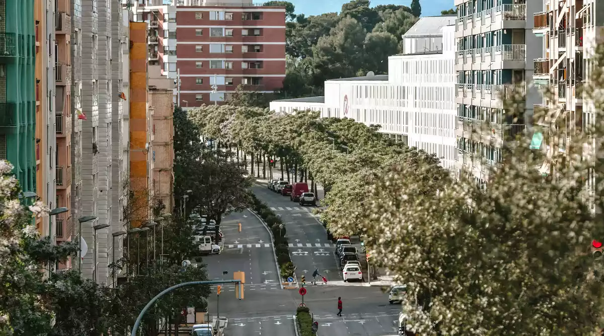 Avinguda Catalunya de Tarragona.