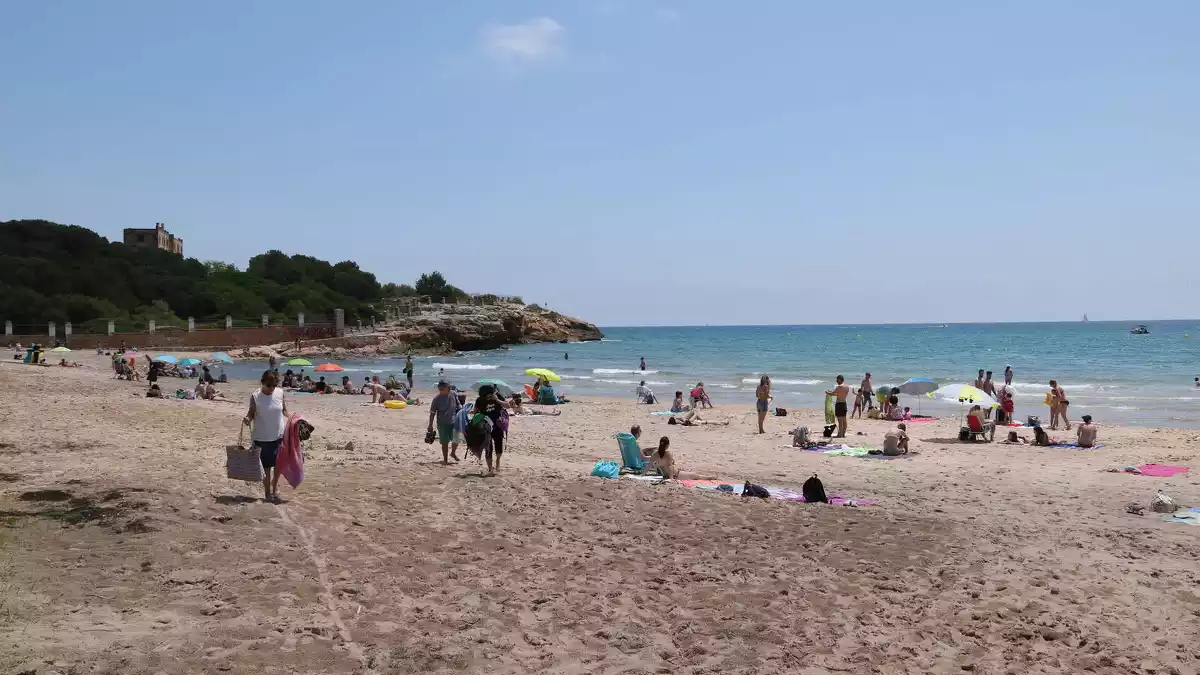 Pla general dels usuaris de la platja de l'Arrabassada de Tarragona
