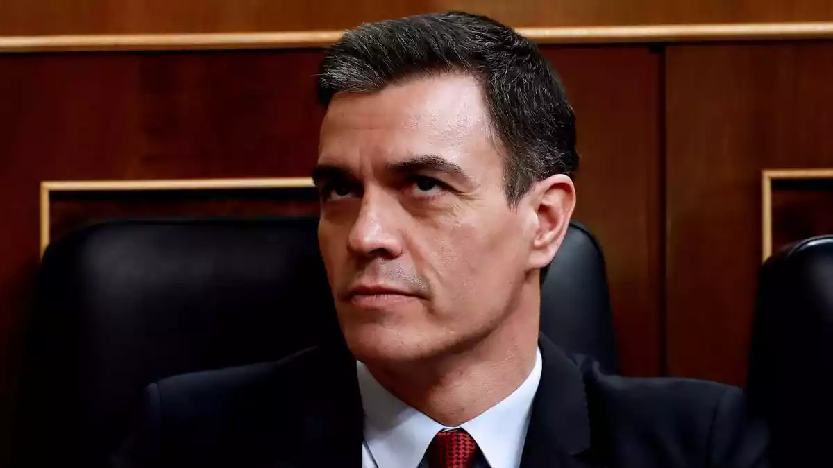 Pedro Sánchez durant una sessió parlamentària sobre l'estat d'alarma el 25 de març de 2020