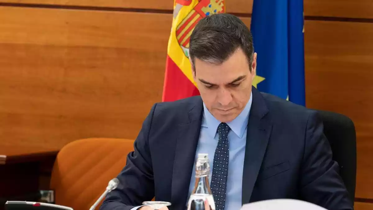 Pedro Sánchez durant el consell de ministres del 31 de març de 2020