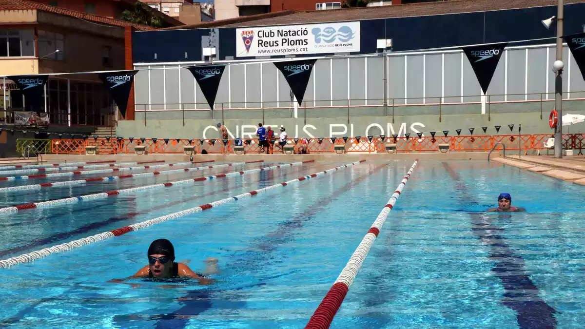 Pla obert de dues dones nedant a la piscina exterior de 50 metres del Club Natació Reus Ploms.