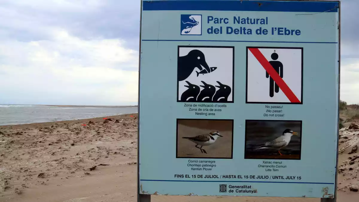 Pla del cartell informatiu que recorda les restriccions de pas a la zona del Garxal de Riumar per respectar la nidificació d'ocells fins al juliol.