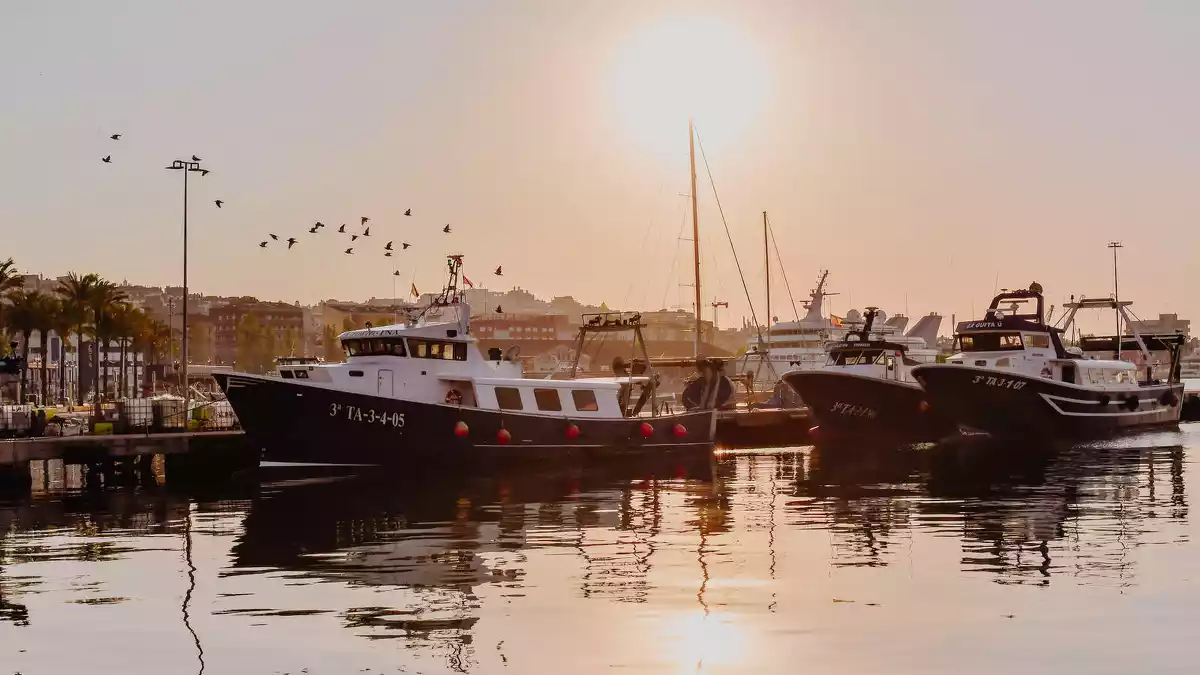 Barques pesqueres al Serrallo de Tarragona, a la sortida del sol